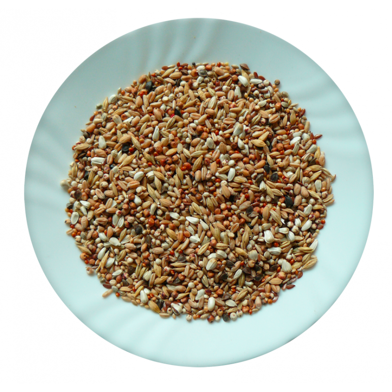 Avicentra Super dieta holub 25kg