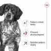 NEW Royal Canin SHN MEDIUM ADULT 7+ 15 kg