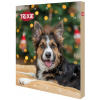 Adventný kalendár pre psov 380g Trixie