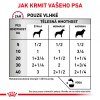 Royal Canin VDD Renal Special 410g