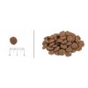 Acana Dog Adult Small Breed Heritage 6kg