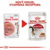 Royal Canin Instinctive Gravy kapsička v šťave 85g
