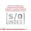 Royal Canin VD Cat Gastrointestinal Pouch 12 x 85g