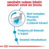 Royal Canin SHN MEDIUM STARTER MOTHER&BABYDOG 15kg