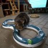 Hračka mačka Guľová dráha horská s loptičkou CATIT plast