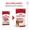 Royal Canin Medium Adult 10 x 140g