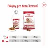 Royal Canin Medium Ageing 10+ 10 x 140g