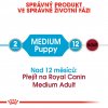 Royal Canin Medium Puppy 10 x 140g