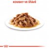 Royal Canin Maxi Puppy 10 x 140g