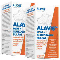 2x Alavis MSM+Glukosamin sulfát pre psov 60tbl