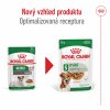 Royal Canin Mini Ageing 12+ 12 x 85g