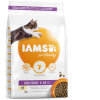 Iams Cat Kitten Chicken 2kg