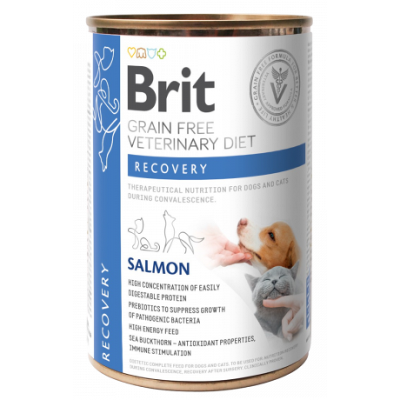 Brit VD Dog+Cat GF konz. Recovery 400g (min. odběr 12 ks)