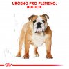 Royal Canin Bulldog Adult 3kg