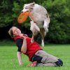 TRIXIE Lietajúci tanier Dog Activity frisbee 23cm