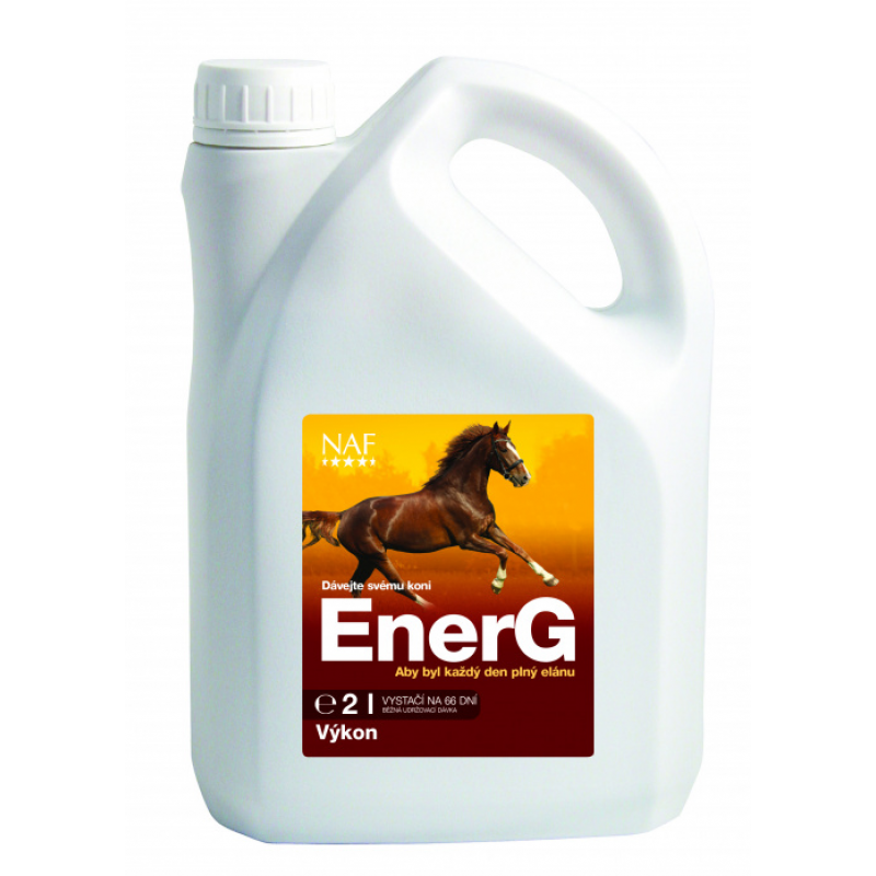 EnerG so železom pre maximálne využitie energie 2 l