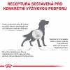 Royal Canin VDD Hepatic 12kg