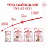 Royal Canin Feline Kitten 400g