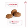NEW Royal Canin SHN MEDIUM ADULT 7+ 15 kg