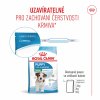Royal Canin Mini Puppy 2kg