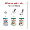 Royal Canin Mini Ageing 12+ 12 x 85g