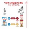 Royal Canin Medium Puppy 15kg