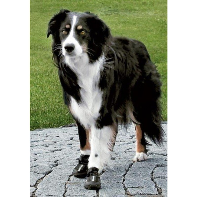 Topánočka ochranná Walker neopren Active L-XL 2ks TR