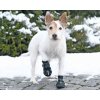 Ochranná neoprenová topánočka Walker Active Trixie M/L (2ks)
