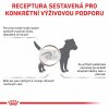 ROYAL CANIN VHN Dog Gastrointestinal Low Fat Small 3,5 kg