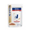 Royal Canin VD Feline Renal 12x85g hovädzia kapsa