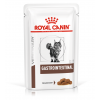 Royal Canin VD Cat Gastrointestinal Pouch 12 x 85g
