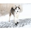 Ochranná neoprenová topánočka Walker Active Trixie M/L (2ks)
