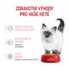 ROYAL CANIN FELINE Kapsičky Kitten Instinctive Jelly 12 x 85g