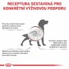 Royal Canin VHN DOG GASTROINTESTINAL HIGH FIBRE LOAF konzerva 200 g