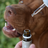 Cure Point CBD PET 5% Olej pre psov Sausage 10ml