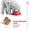 NEW Royal Canin SHN MINI ADULT 8+ 2 kg