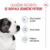 Royal Canin Mini Puppy 2kg