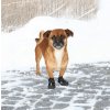 Ochranná neoprenová topánočka Walker Active Trixie M/L (2ks)