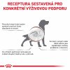 Royal Canin VDD Gastrointestinal Low Fat 12kg