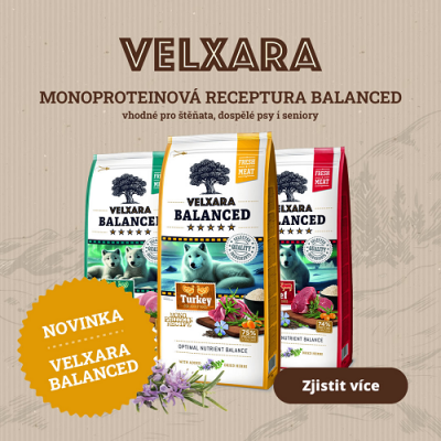 Superprémiová monoproteínová novinka - Velxara Balanced