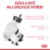 Royal Canin Mother & BabyCat 2kg