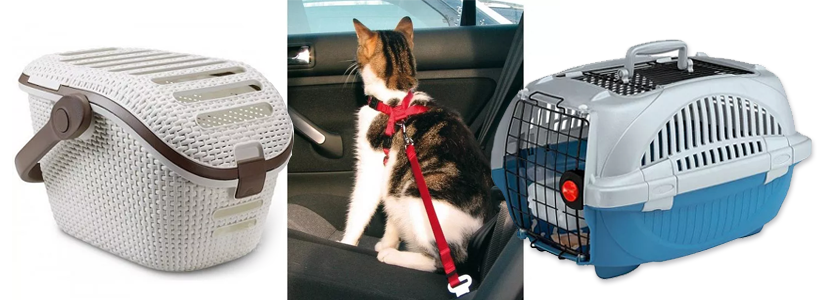 Kočka v autě přepravní box a postroj