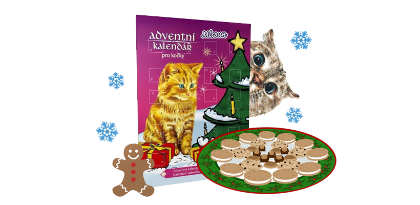 Adventní kalendář pro kočky