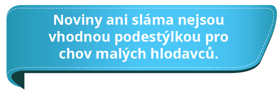 Noviny ani sláma nejsou vhodnou podestýlkou pro chov malých hlodavců.