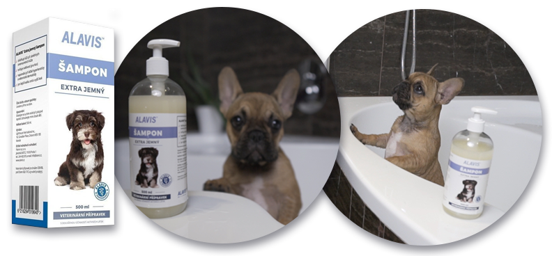 Alavis extra jemný šampon pro psy