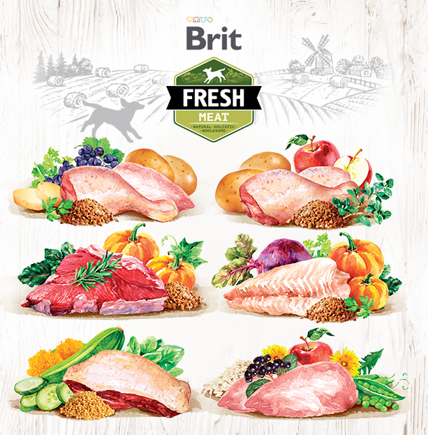 Brit Fresh Meat