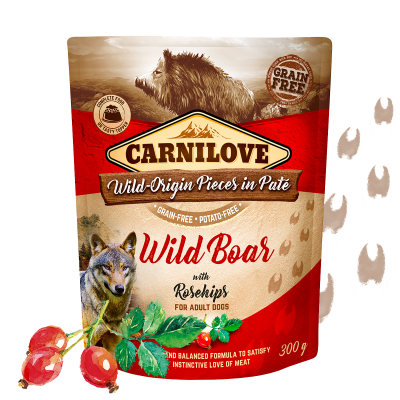 Carnilove Wild Boar with Rosehip kapsička