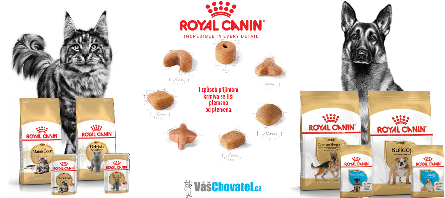 Granule vyvinuté dle specifik konkrétních plemen, to je Royal Canin Breed Nutrition