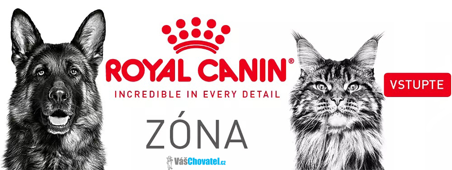 Všechna krmiva Royal Canin najdete pohromadě zde