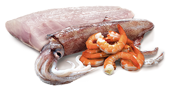 suroviny konzervy N&D Ocean Sea Bass/Shrimps/Squid
